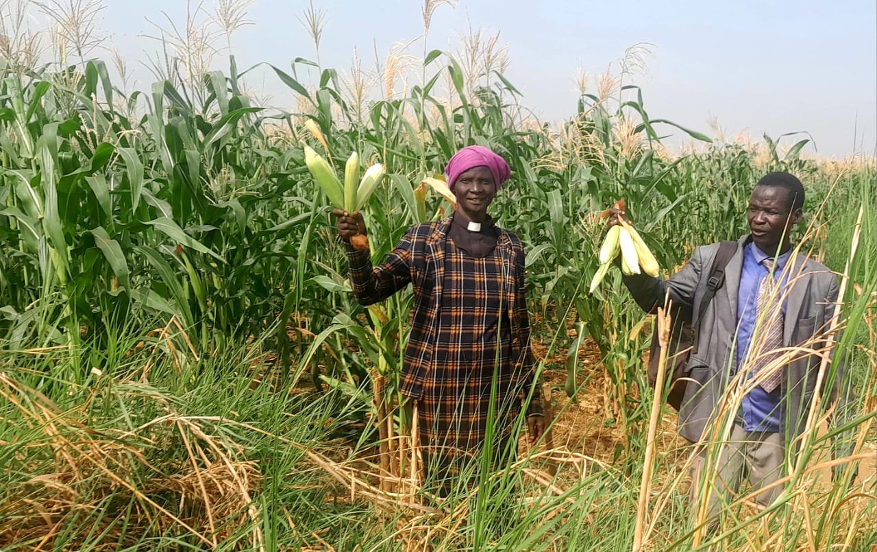 Farmers tending a newly planted crop field in Maiwut